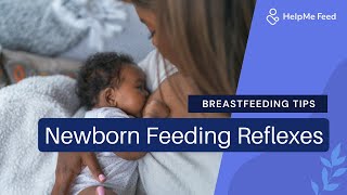 Breastfeeding Tips Newborn Feeding Reflexes [upl. by Melisent]