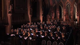 Barber  AGNUS DEI arr Adagio for Strings  Laurens Symfonisch  LIVE [upl. by Roehm]