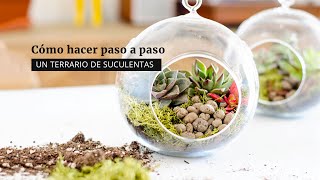 Cómo hacer un terrario de suculentas [upl. by Woolson]