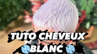 TUTO AVOIR LES CHEVEUX BLANC  GRIS   By AbdoulBarber [upl. by Laddy]