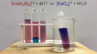 Le Chateliers Principle Lab with Cobalt Complex Ions [upl. by Christyna279]