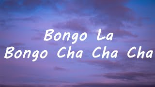 Bongo Cha Cha Cha Lyrics  Caterina Valente  Bongo La Bongo Cha Cha Cha Tiktok Song [upl. by Tibbetts319]