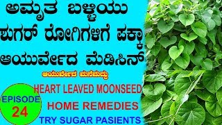 ಶುಗರ್ ಇರುವಂತವರು ಮಾತ್ರ ನೋಡಿ Ayurveda tips Kannada  Mane Maddu Sugar patient home remedie Diabetes [upl. by Akimahc]