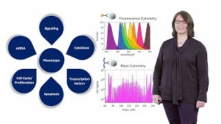 Mass Cytometry Introduction  Susanne Heck NIHR BRC [upl. by Munster]