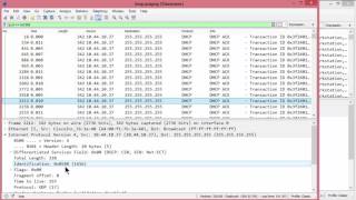 Investigating Network Loops [upl. by Jeconiah]