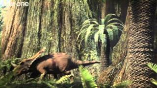 Tyrannosaur Rivalry  Planet Dinosaur  Episode 3  BBC [upl. by Lamar]