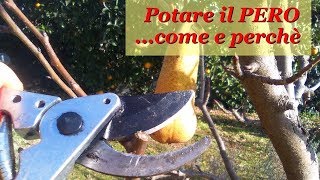 POTARE IL PERO [upl. by Anahir130]