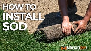 How to Install Sod  A DIY Guide [upl. by Stafani313]