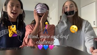 Blind mute and deaf challenge with Skyler Chloe and Savannah [upl. by Ami]