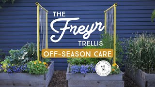 Freyr Trellis OffSeason Care [upl. by Elidad831]