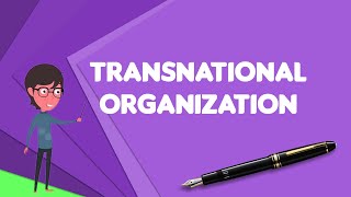 What is Transnational organization Explain Transnational organization [upl. by Richie]