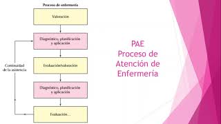 Enfermería  Materno infancia  PAE Embarazada [upl. by Omor]