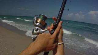 Surf Fishing  How to Cast a Surf Rod [upl. by Berry465]