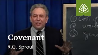 Covenant What is Reformed Theology with RC Sproul [upl. by Lindley154]