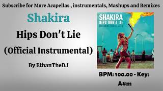 Shakira  Hips Dont Lie Official Instrumental [upl. by Nuris747]