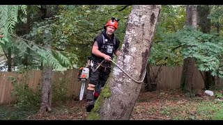 Tree climbing with spurs for the first time  TIPS [upl. by Eiramanitsirhc]