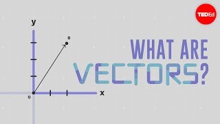 What is a vector  David Huynh [upl. by Phenice288]