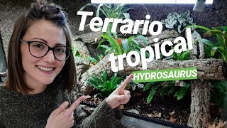 Cómo hacer un TERRARIO TROPICAL con PLANTAS [upl. by Takken]