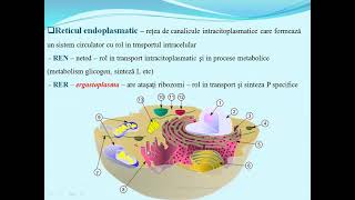 ULTRASTRUCTURA CELULEI  Lectii de biologie clasa a IXa  bacalaureat [upl. by Ived]