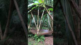 Bamboo Building simple structure [upl. by Artemus]