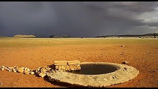 The rain has arrived in the Namib Desert Namibia [upl. by Giff]