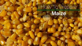 How to prepare maize for fishing [upl. by Refinej]