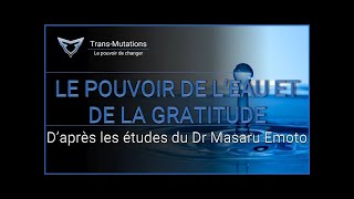 le pouvoir caché de leau et de la gratitude Dr Masaru Emoto [upl. by Warde]