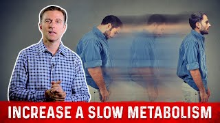 Slow Metabolism 4 Ways To Increase Your Metabolism – Dr Berg [upl. by Ytram399]