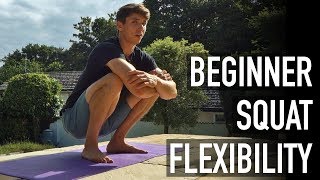 15 Minute Beginner Squat Flexibility Routine FOLLOW ALONG [upl. by Cadman]