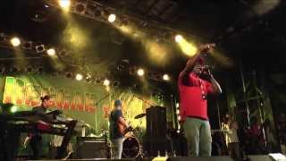 Barrington Levy  LiveReggaejam 2013  too experienced [upl. by Nevins]