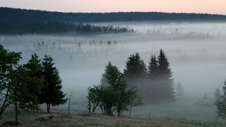 Šumava – národní park [upl. by Ayouqes145]