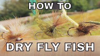 Dry Fly Fishing  How To with Tom Rosenbauer [upl. by Nyar550]