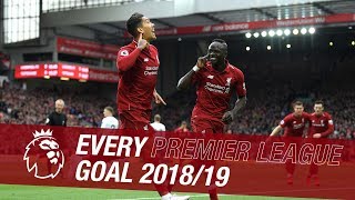 All 89 of Liverpools Premier League goals from the 201819 season [upl. by Kcuhc]