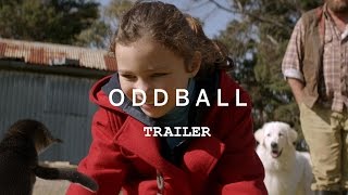 ODDBALL Trailer YouTube [upl. by Gavrila881]