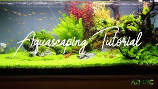 Step by Step Aquascaping Tutorial 200L [upl. by Neiht544]