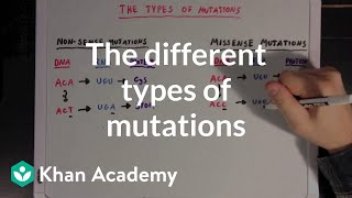 The different types of mutations  Biomolecules  MCAT  Khan Academy [upl. by Kerwon]