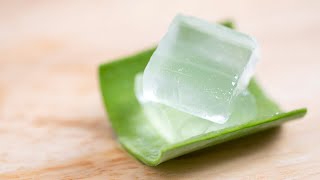 How to eat Aloe Vera [upl. by Lindsay359]