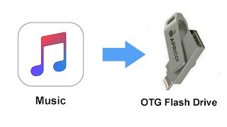 How to Transfer music from iPhone Music Library to OTG Flash Drive [upl. by Phalan]