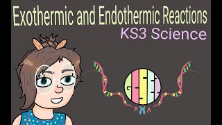 Science KS3  Endothermic and Exothermic Reactions [upl. by Selinda]