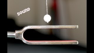 Experiment on sound  Physics [upl. by Nnairda]